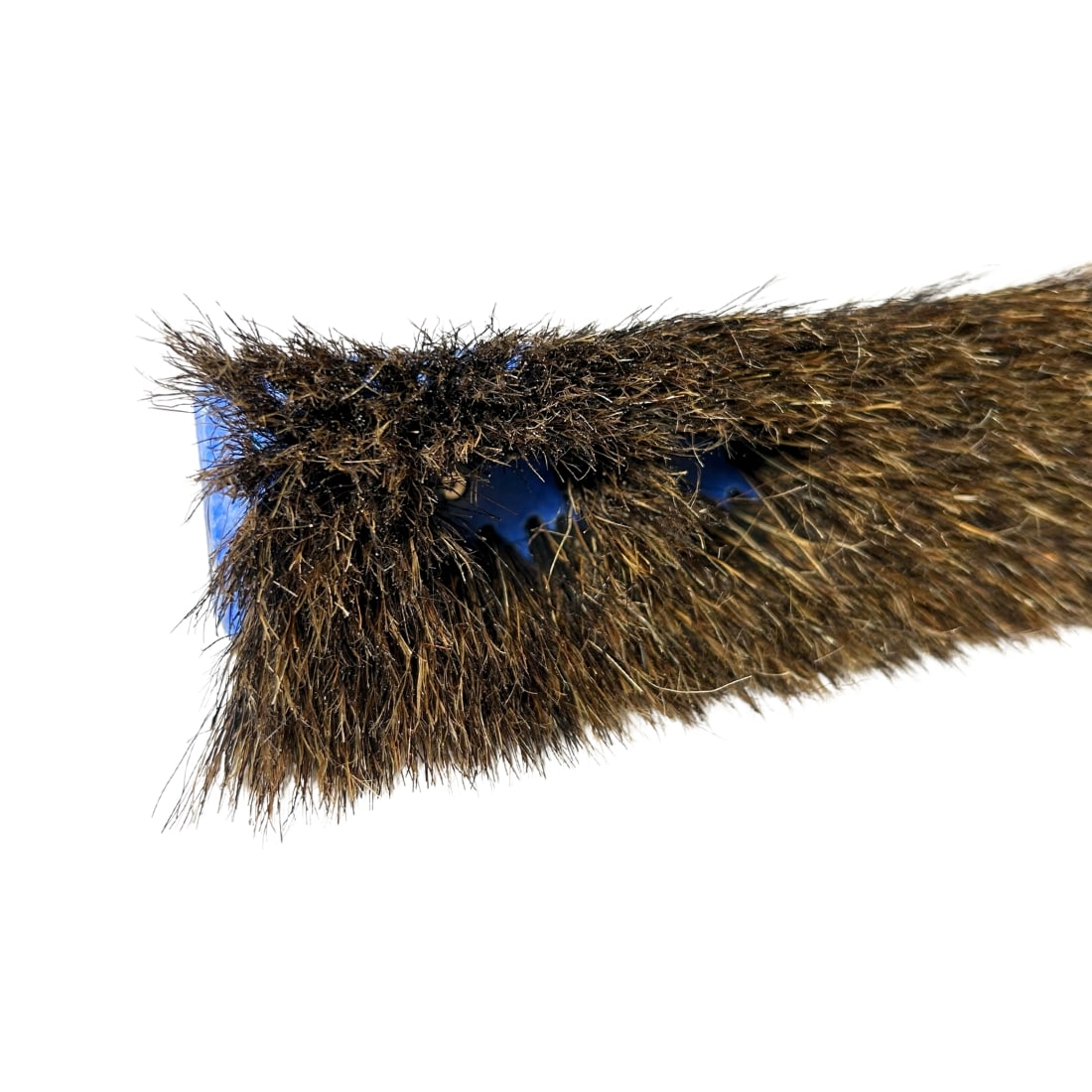 AR PRO Mežacūkas Saru Birste